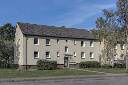 Wohnung Herne Wanne - 2 Zimmer, 46 m&sup2;, 379&euro; | Angebot:27098407