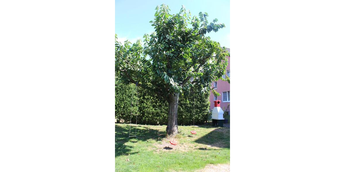 Erdgeschoßwohnung Castrop-Rauxel Becklem - 3 Zimmer, 75 m&sup2;, 700&euro; | Angebot:25867929