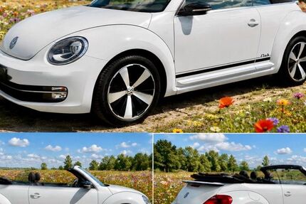 VW Beetle 48.000 km 17.400 &euro; Kamen 59174
