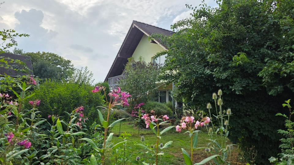 Etagenwohnung Kamen - 2.5 Zimmer, 63 m&sup2;, 750&euro; | Angebot:25718266