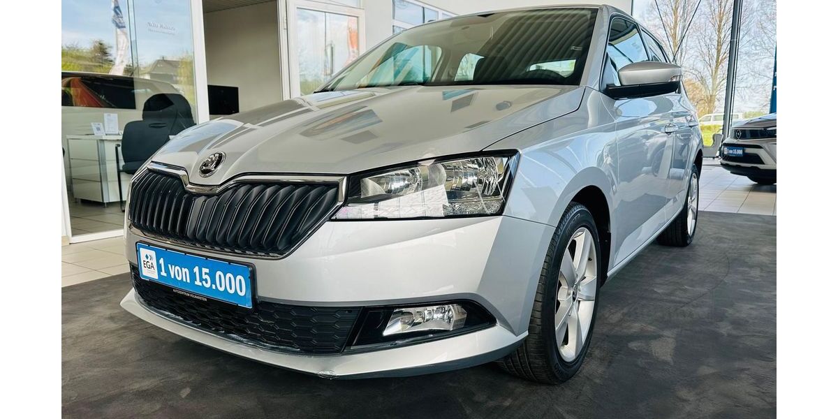 Skoda Fabia 51.250 km 14.880 &euro; Wetter 58300