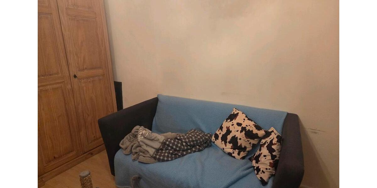 Etagenwohnung Bochum Bochum-Mitte - 1 Zimmer, 45 m&sup2;, 550&euro; | Angebot:25974997