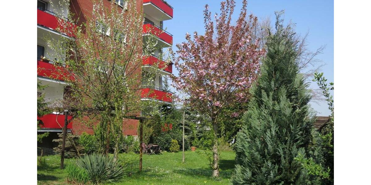 Etagenwohnung Witten Annen - 2 Zimmer, 64 m&sup2;, 790&euro; | Angebot:26587554