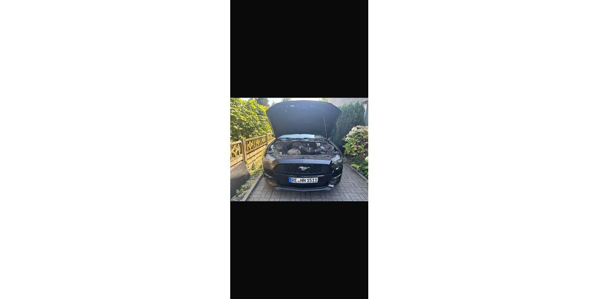 Ford Mustang 66.500 km 19.499 &euro; Marl 45772