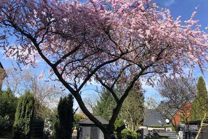 Haus Marl Alt-Marl - 8 Zimmer, 390 m&sup2;, 899.000&euro; | Angebot:24638993