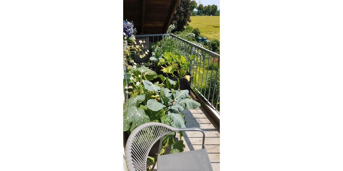 Terrassenwohnung Kamen - 3.5 Zimmer, 75 m&sup2;, 289.000&euro; | Angebot:26719095