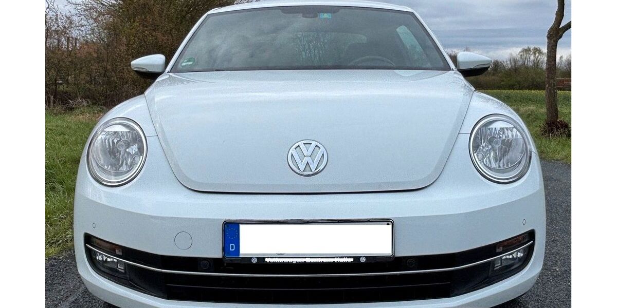 VW Beetle 58.800 km 14.900 &euro; Welver 59514