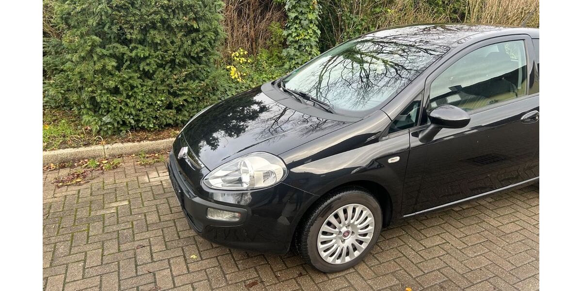 Fiat Punto Evo 80.871 km 3.750 &euro; Kamen 59174