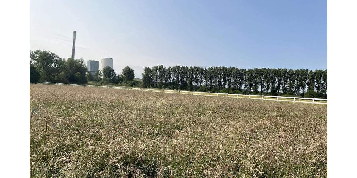 Doppelhaushälfte Werne - 8 Zimmer, 230 m&sup2;, 499.000&euro; | Angebot:25669235