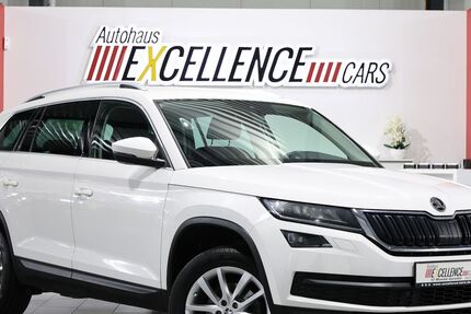 Skoda Kodiaq 190.000 km 16.991 &euro; Hamm 59077