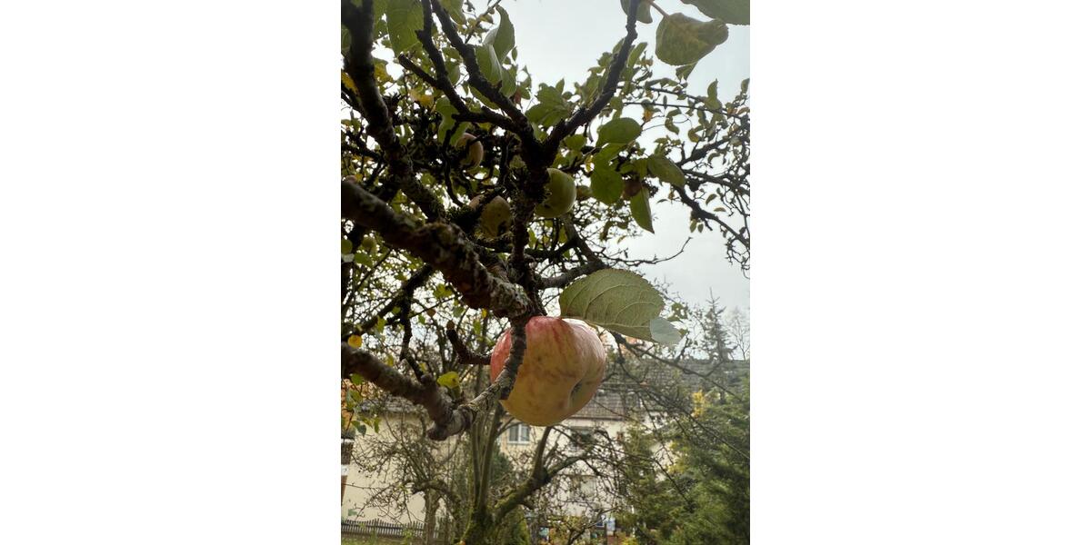 Reihenhaus Menden (Sauerland) - 6 Zimmer, 140 m&sup2;, 325.000&euro; | Angebot:24468870